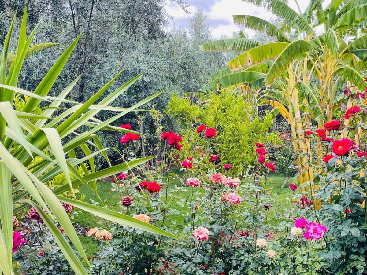 Ilafe Farmhouse, Villa avec piscine chauffée privée et Jacuzzi pour familles Marrakesh Exterior foto