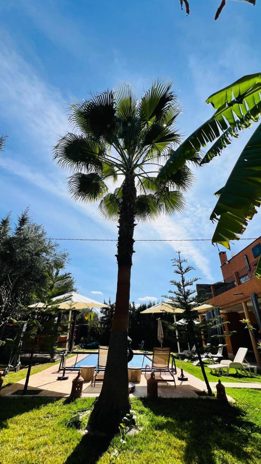 Ilafe Farmhouse, Villa avec piscine chauffée privée et Jacuzzi pour familles Marrakesh Exterior foto