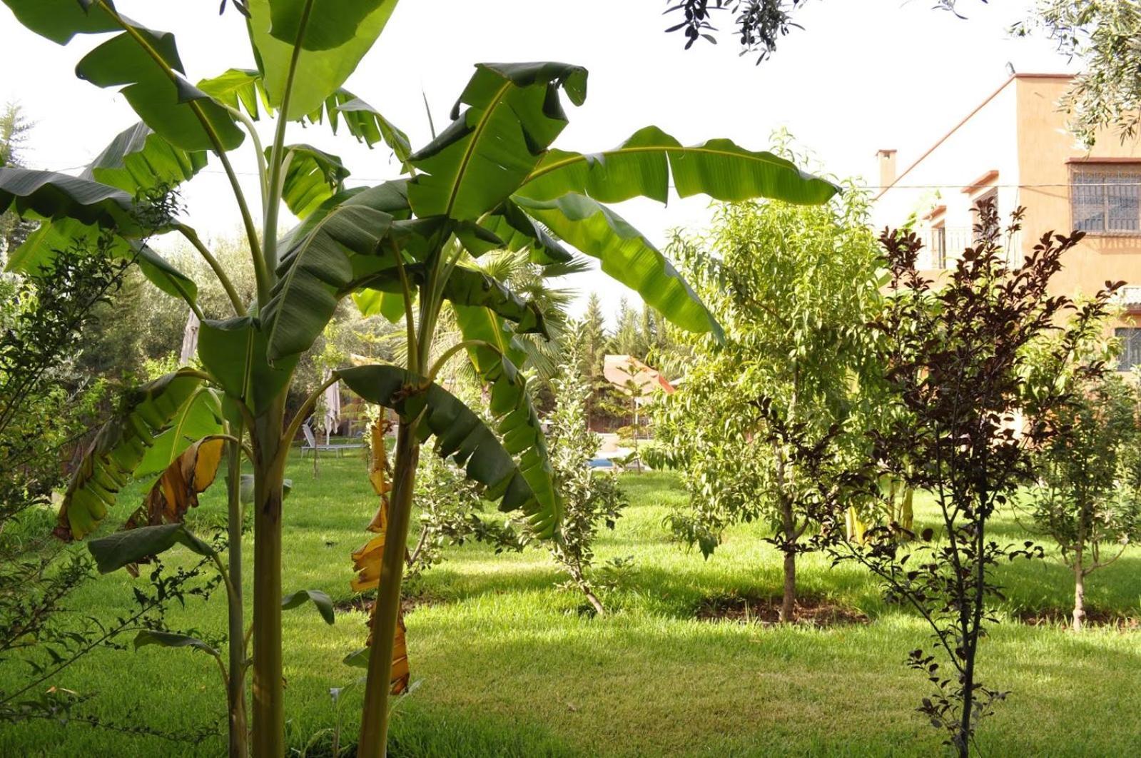 Ilafe Farmhouse, Villa avec piscine chauffée privée et Jacuzzi pour familles Marrakesh Exterior foto